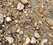 20191003_171219.webp