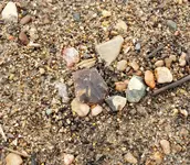 20191003_171237.webp