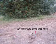 Finds 8-25-19 002.webp