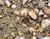 20191003_171255.webp