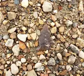 20191003_171350.webp