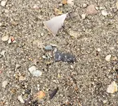 20191003_171409.webp