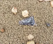 20191003_171425.webp