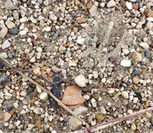 20191003_171535.webp