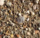 20191003_171606.webp