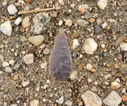 20191003_171858.webp