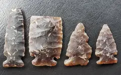 20191003_171753.webp