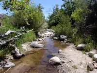100_0409.webp