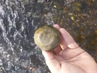 20181122_134947.webp 20181122_134947.webp