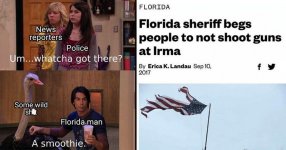 15-florida-memes-and-moments-of-colossal-wtf-ery.jpg