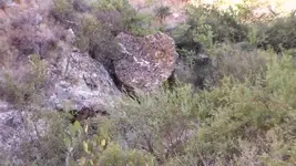 vlcsnap-2013-08-10-17h04m22s32.webp