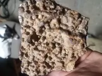 20190914_213448.webp