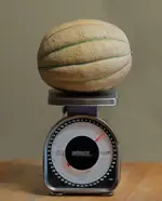 78111.webp