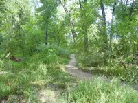 bike 072719 5.webp