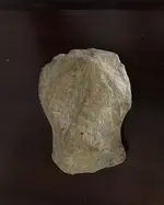 Stone tool.webp