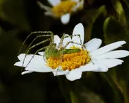 DSCN2769.webp