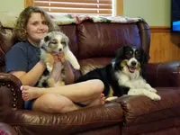 20190728_160428.webp 20190728_160428.webp