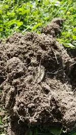 IMG-20190914-WA0019.webp IMG-20190914-WA0019.webp