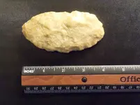 DSCN7411.webp