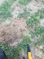 20190905_091735.webp