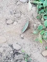20190905_091741.webp