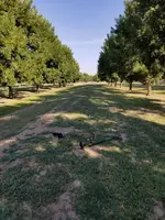 20190905_092456.webp