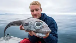 dd3ec811-ratfish-caught.webp