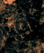 20190915_011357.webp