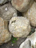 IMG_20190922_152211.webp