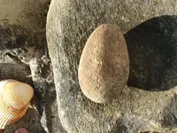 20190819_174002.webp