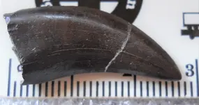 DSCN2527.webp