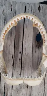 20190808_122402.webp