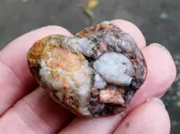 DSCN6926.webp