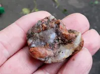 DSCN6927.webp