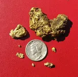 goldy1.webp