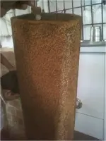 Cartridge Captured with Gold-7.webp