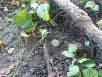 20190914_121255.webp