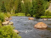 trip 090519 1.webp