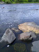 023.webp