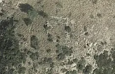 Screenshot_2019-10-05-08-23-57-1.webp