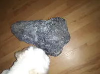20190915_203426.webp