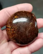 20190916_052208.webp