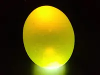 IMG-20190820-WA0002.webp IMG-20190820-WA0002.webp