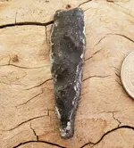 20191005_113741.webp