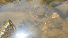 20190724_140712.webp