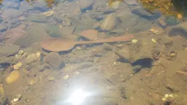 20190724_140627.webp