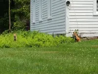 20190808_135159.webp