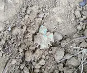 Medal - Dirt.webp