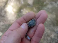 PP bead3.webp