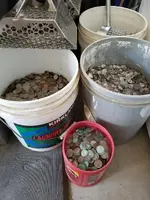 coins.webp